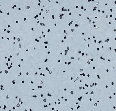 Линолеум Forbo Sphera Ec 450036 water фото 1 | FLOORDEALER